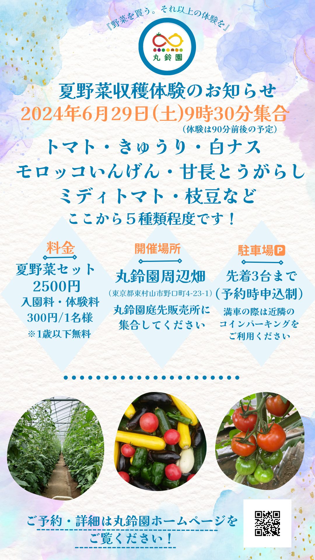 ☆完売御礼☆2024丸鈴園★夏野菜★収穫体験